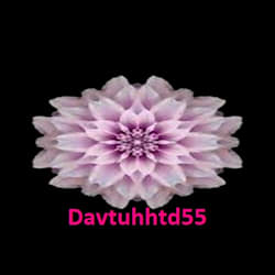 davtuhhtd55
