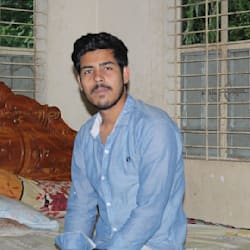 zi_palash