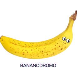 bananodromo