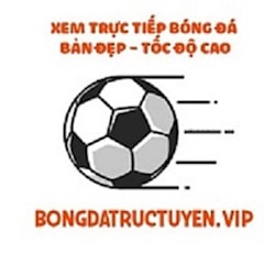 bongdatructuyen