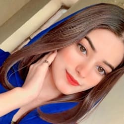Gig Seller - alizey_expert