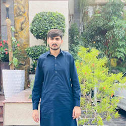 ani_zafar
