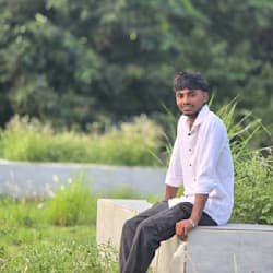 arafatgoila