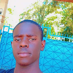 brax_twizzy