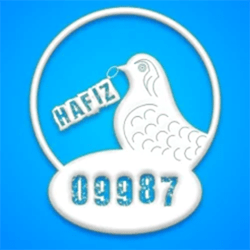hafiz09987