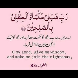 qazihaseeb977