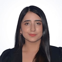 camilavirtual1