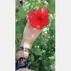 ayesha30_10