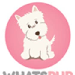whatspup