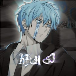 wp_designer99
