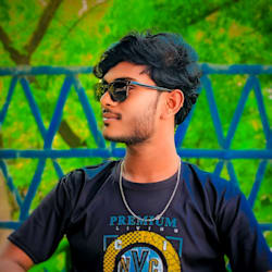 mrinmoy56