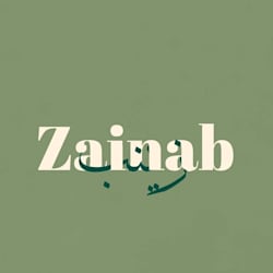 zainabbinteamir
