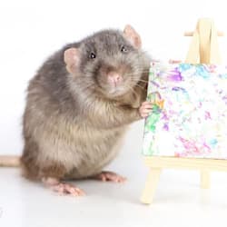rat_crafts