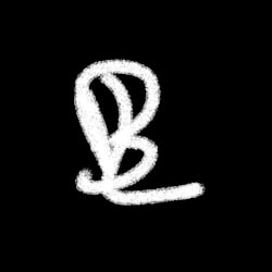 lorenzobesio