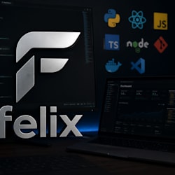 felixi1k