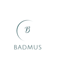 badmus_ola2233