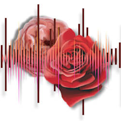 studioblume