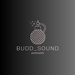 budd_sound