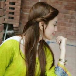 shaheenseo