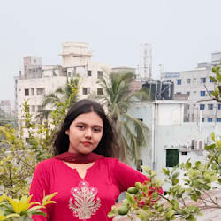 ibnath_labiba