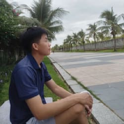 mr_viet_nam