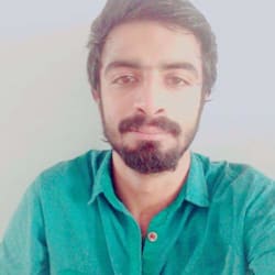 alihamzazia