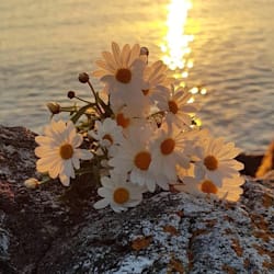 shalini_veera