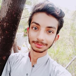 zainmd566