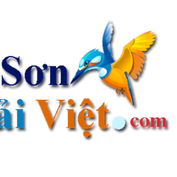 sonhaiviet
