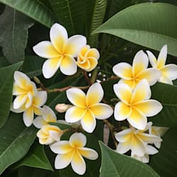 sanjay_3017