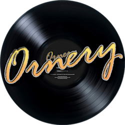 Fiverr profile picture for @ornery