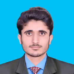 husnainahmed241
