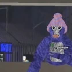 nootnootvr