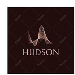 hudsondropship