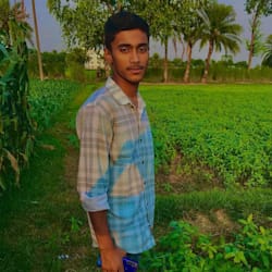 paulraj2011