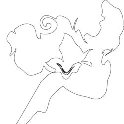 alfinzalicha