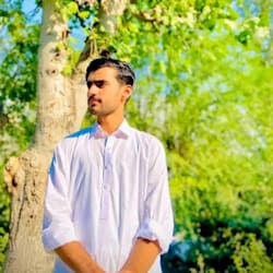 ali_mernstake