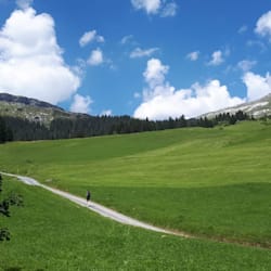 uckaya