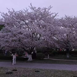 fernandoyuhan