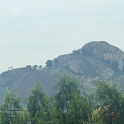 oladep_dmo