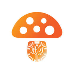 elhongo