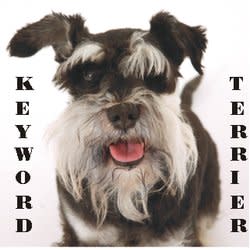 keywordterrier