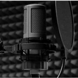 mistervoices