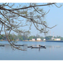 panassery