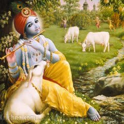 anushyaram