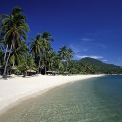 kohmui