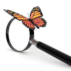 metaseoexpert