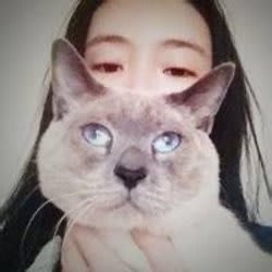 china_assistant