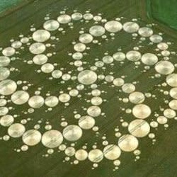 naradadas
