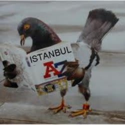 Fiverr profile picture for @istanbul